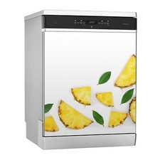 Calamita Lavabile per