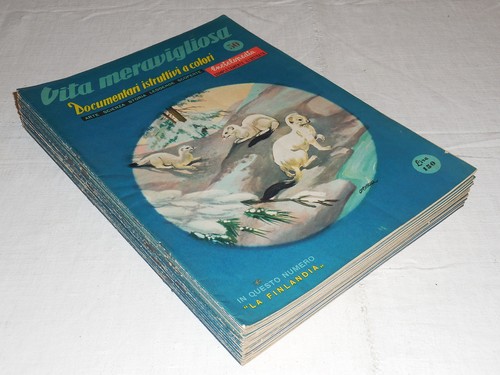 Vita meravigliosa ed - vita,