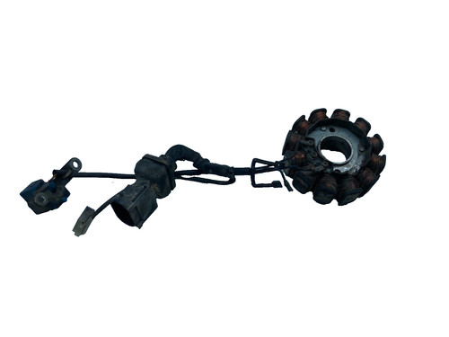 Statore alternatore magnete - statore,