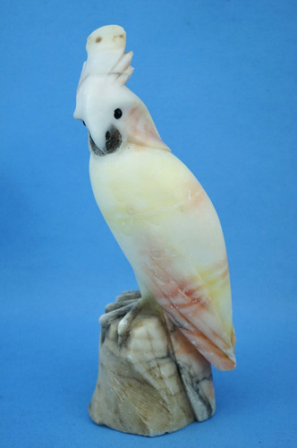 Scultura pappagallo cacatua - pappagallo,