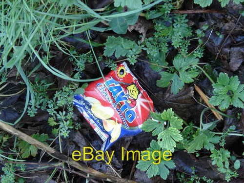 Photo 6x4 the ubiquitous - 6x4,