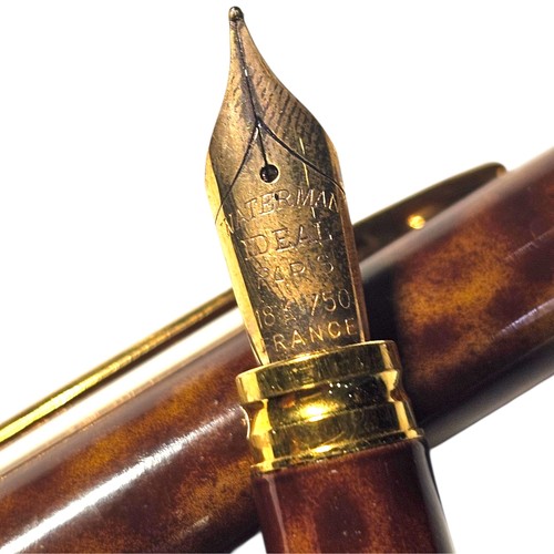 Waterman penna stilografica