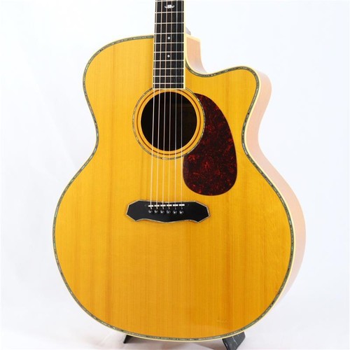 Chitarra acustica usata