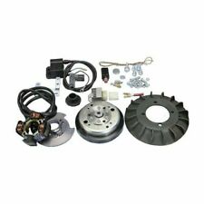 ACCENSIONE ELETTRONICA 12V POLINI CONO D.20 VOLANO 1,2 Kg VESPA 50 SPECIAL L R N