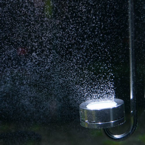 Diffusore co2 per - co2, acquario