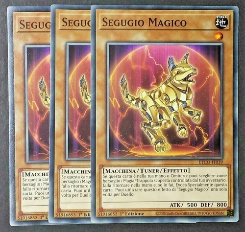 Set carte segugio magico - set,