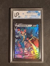 POKEMON - MISTY & GYARADOS -