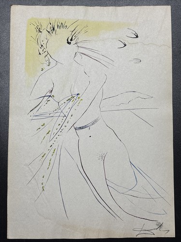 Salvador dali - salvador, (handmade)