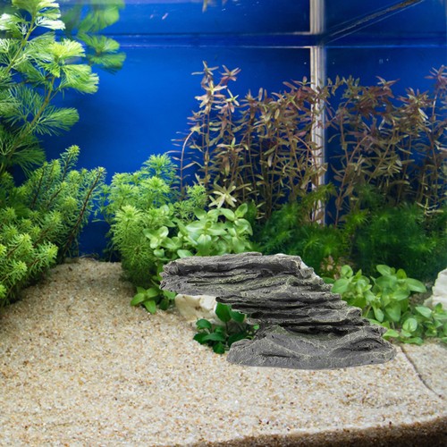 Piattaforma acquario tartaruga