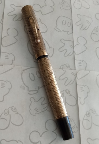 Penna stilografica waterman - penna,