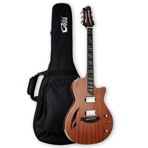Chitarra elettrica acustica - , da