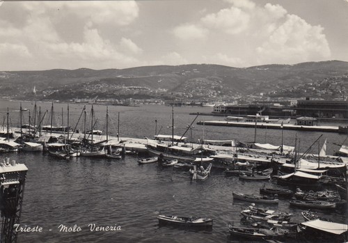 Cartolina trieste friuli - cartolina, *64