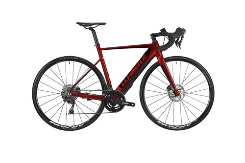 Bici elettrica bike da - elettrica,