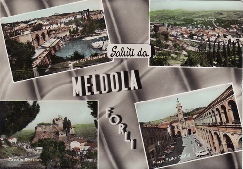 #MELDOLA