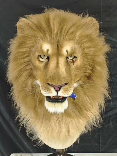 Pelliccia leone realistica - leone,