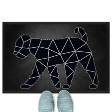 Lagotto Romagnolo, stile