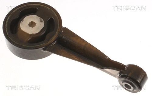Supporto motore triscan 8505 - supporto,