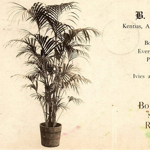 1907 specialties bobbink - specialties,