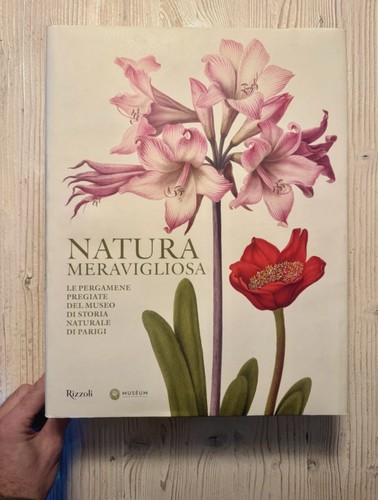 Libro natura meravigliosa - , –