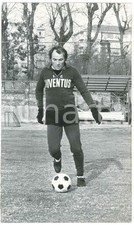 1975 ca CALCIO JUVENTUS Campo COMBI JosÃ© ALTAFINI in allenamento (4) Foto 18x