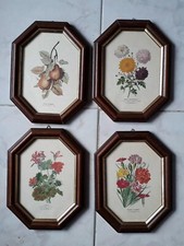 Quadro stampe antiche - quadro,