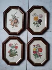 Quadro Stampe Antiche Botaniche Erbario Fiori .21x16 Cm lotto Legno Antica