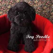 barboncino giocattolo colore nero peluche peluche pupazzo vero