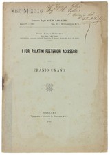 I FORI PALATINI POSTERIORI ACCESSORI NEL CRANIO UMANO. Pitzorno Marco. 1907
