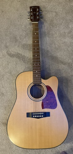 Chitarra acustica elettrica