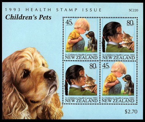 American cocker spaniel - american,