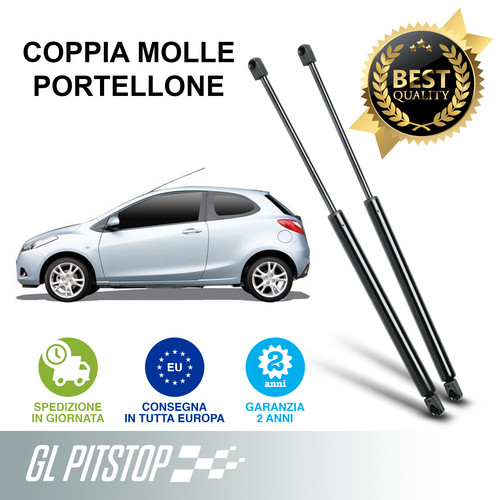 Pistoni portellone coppia - pistoni,