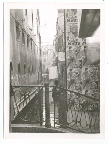 Gelati motta venezia italia - gelati,