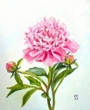 Peonia originale dipinto - , ad