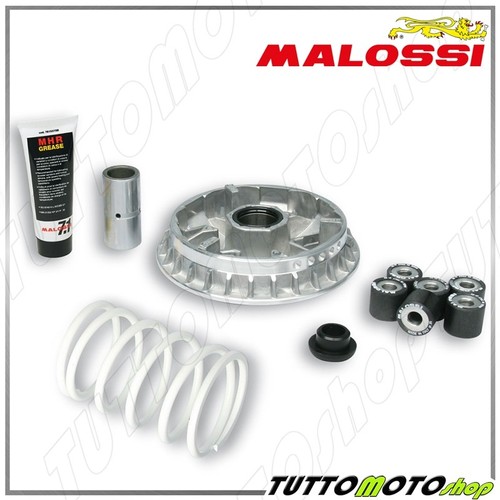 5114264 variatore malossi - 5114264,