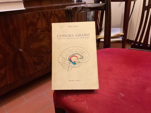 Enigma umano studio - l’enigma, umano.