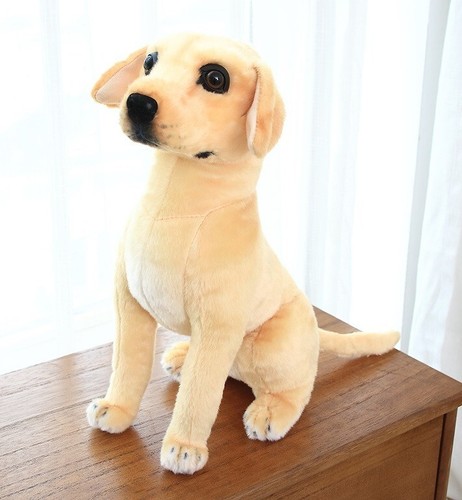 Golden retriever cane - retriever,
