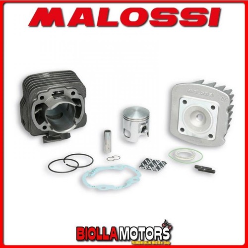 318734 gruppo termico malossi - termico,