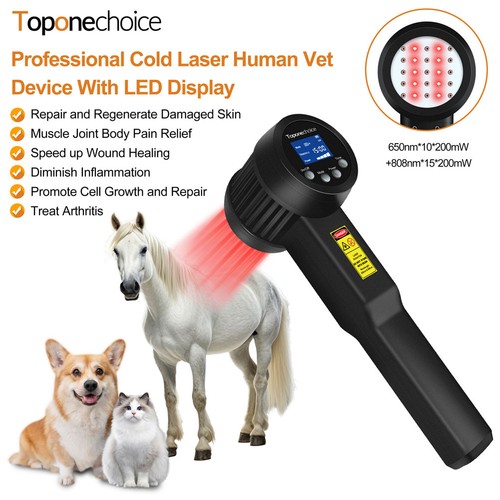 Laser terapia veterinaria cani - veterinaria,