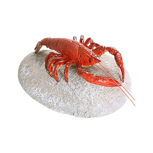 Pesce che cambia colore tè