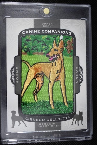 2018 goodwin canini - goodwin,