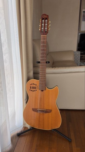 Chitarra acustica godin - chitarra,