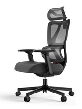 ProtoArc EC100 Sedia da