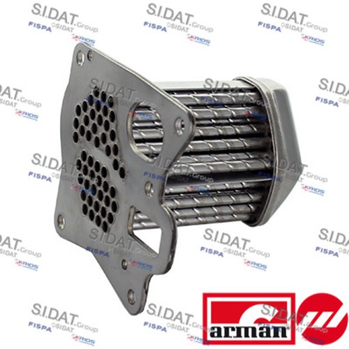 Radiatore ricircolo gas - , di
