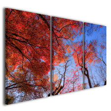 Quadri moderni Alberi rossi