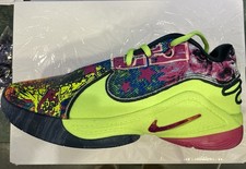 scarpe basket nike Le Bron 22