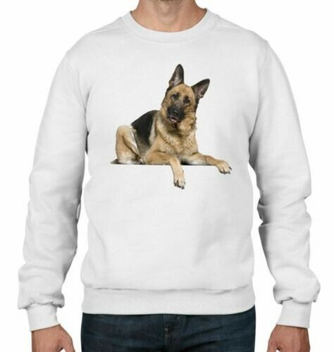 Pastore tedesco cani animali - pastore,