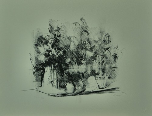 Giuseppe ajmone litografia - ajmone,