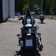 Detachable Sissy Bar Passenger