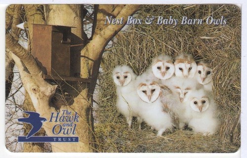 Jersey phone card baby - jersey,