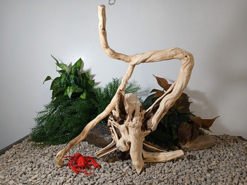 Driftwood acquario pesci - , e